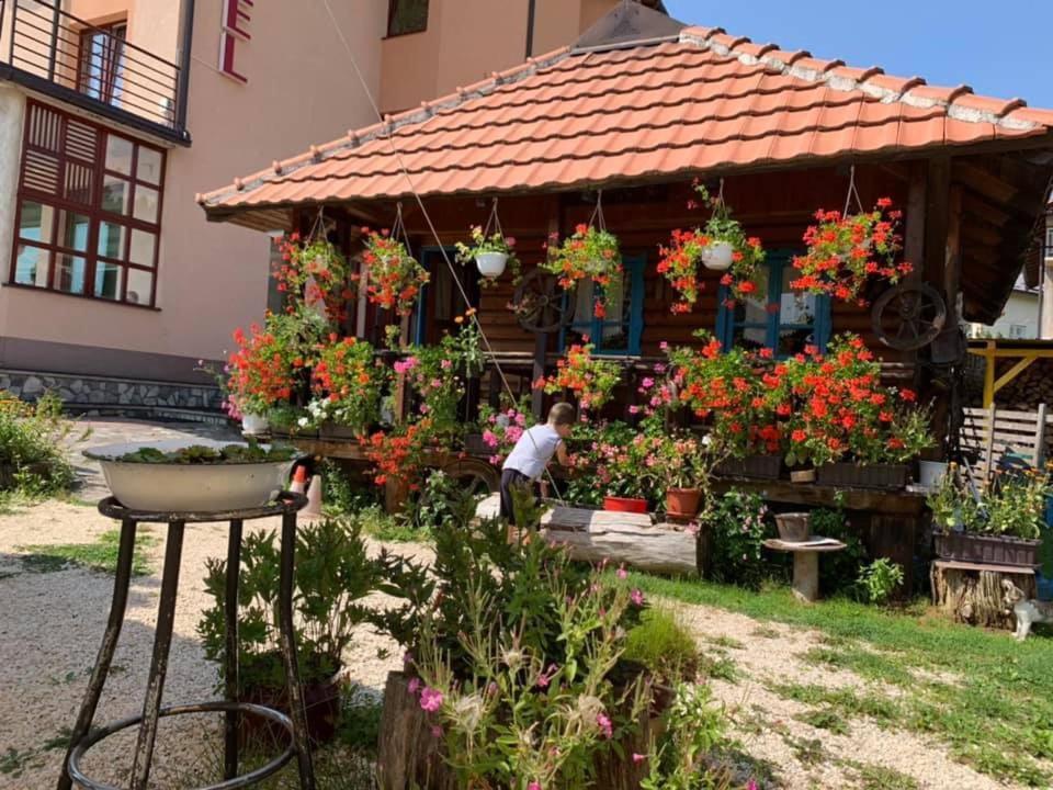 Hotel Dva Goluba Пале Екстер'єр фото